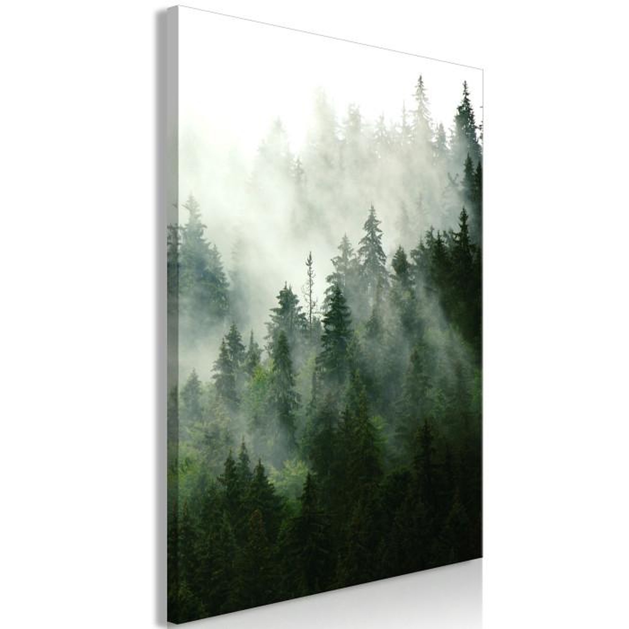 Paris Prix Tableau Imprimé  Coniferous Forest. Coloris disponibles : Multicolore