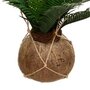  Plante Artificielle Palmier  Cuba  55cm Vert