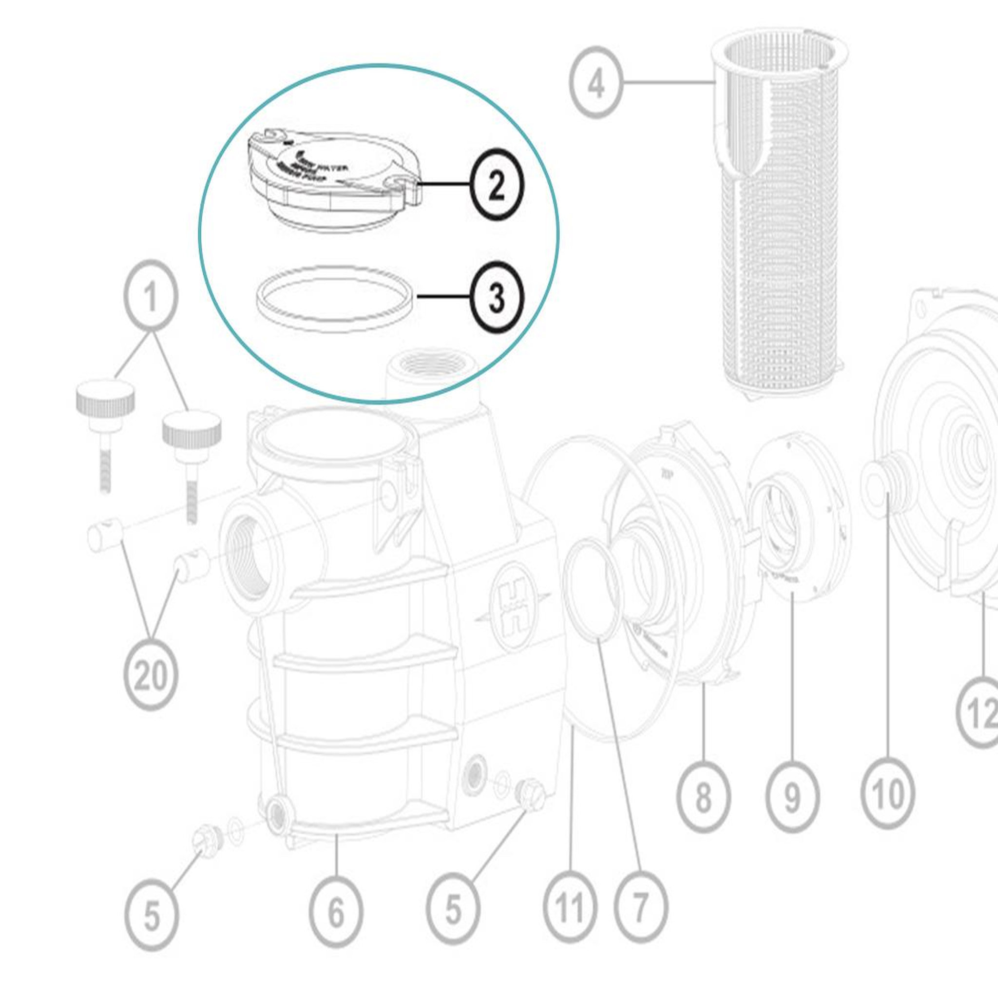 Voir la diapositive 5 : Hayward Couvercle et joint de préfiltre pour pompe max flo - hayward