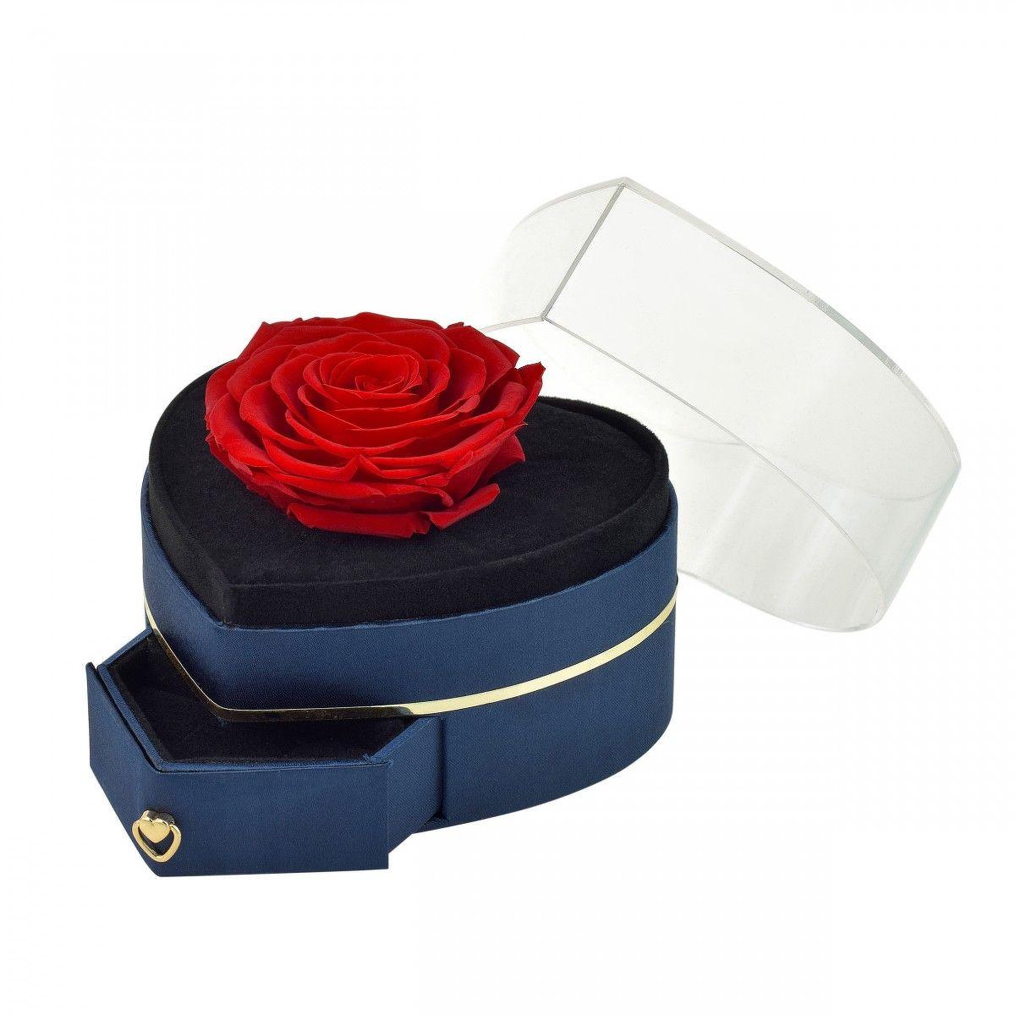 Voir la diapositive 2 : SC CRYSTAL Boite à bijoux coeur décorée d'une rose éternelle - stabilisée rouge
