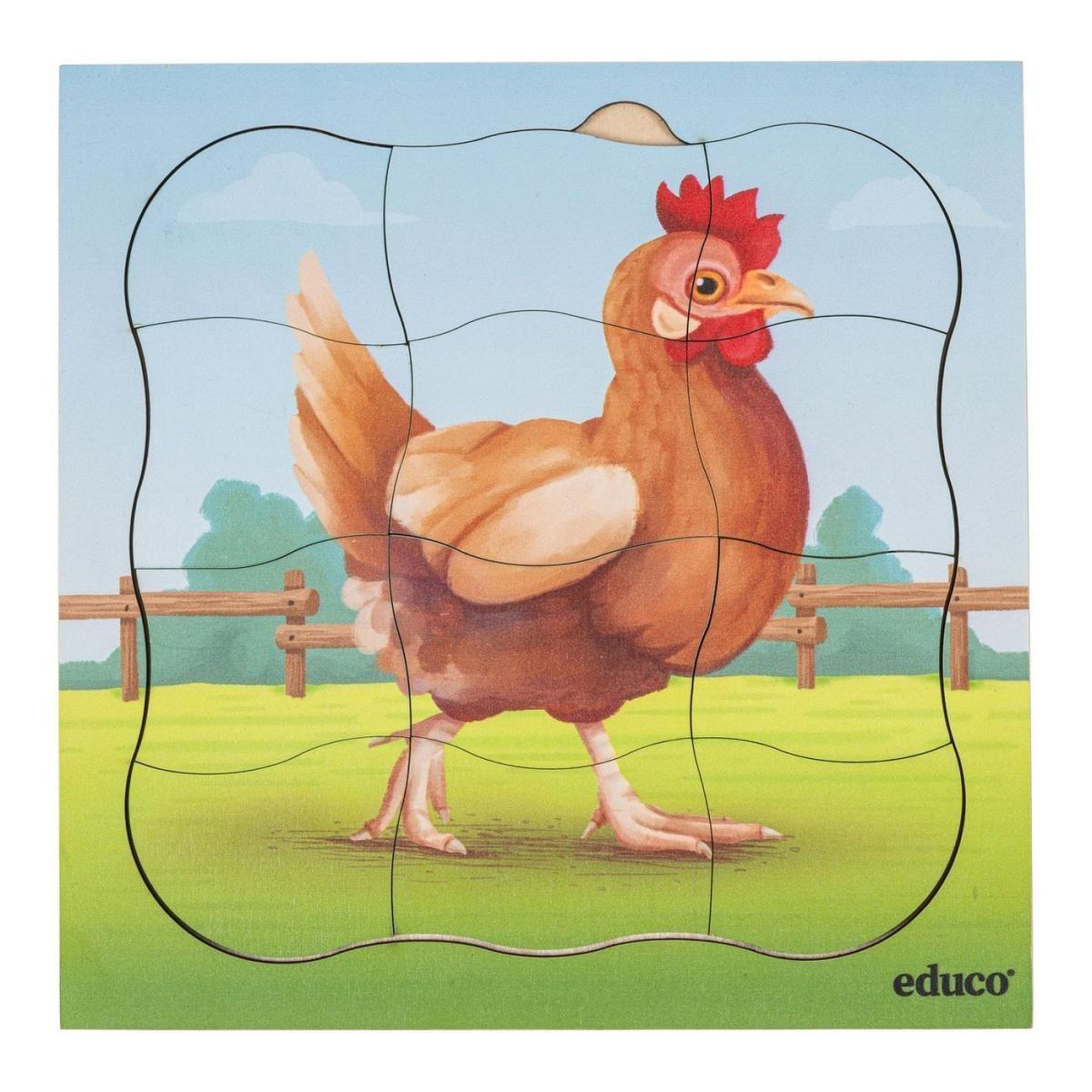 Voir la diapositive 2 : EDUCO À la ferme - la poule pousse — 31 pièces de puzzle