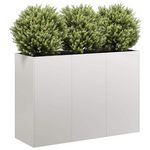 VIDAXL Jardiniere 120x40x80 cm acier inoxydable