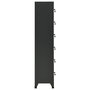 Voir la diapositive 3 : VIDAXL Armoire a casiers Anthracite 38x40x180 cm Acier