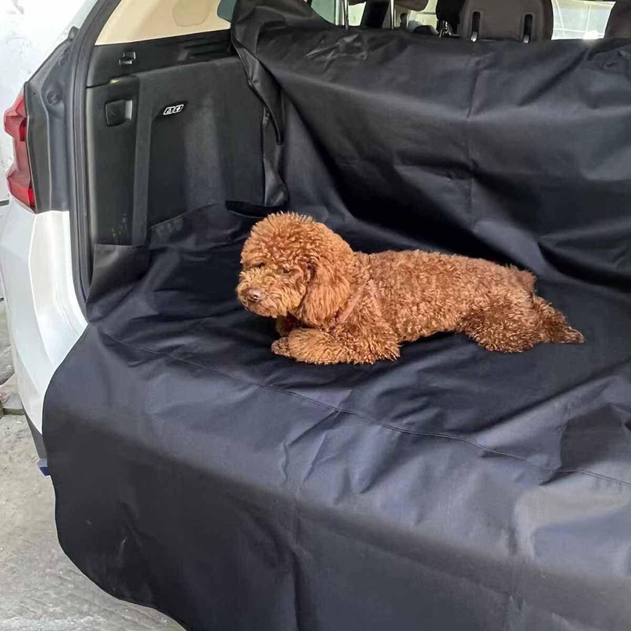 Voir la diapositive 2 : LOVE STORY Housse de protection pour chien  auto  204cm noir