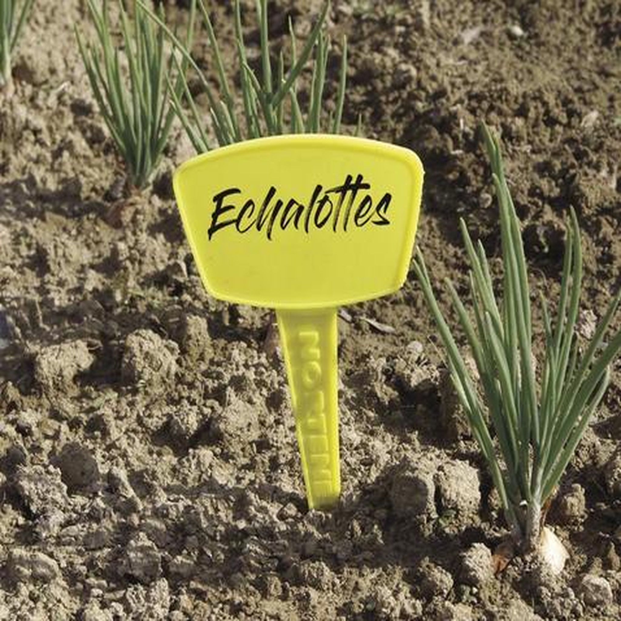 Nortene 5 étiquettes à planter Label 35 - Jaune - 35cm
