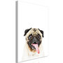 Voir la diapositive 1 : Paris Prix Tableau Imprimé  Pug