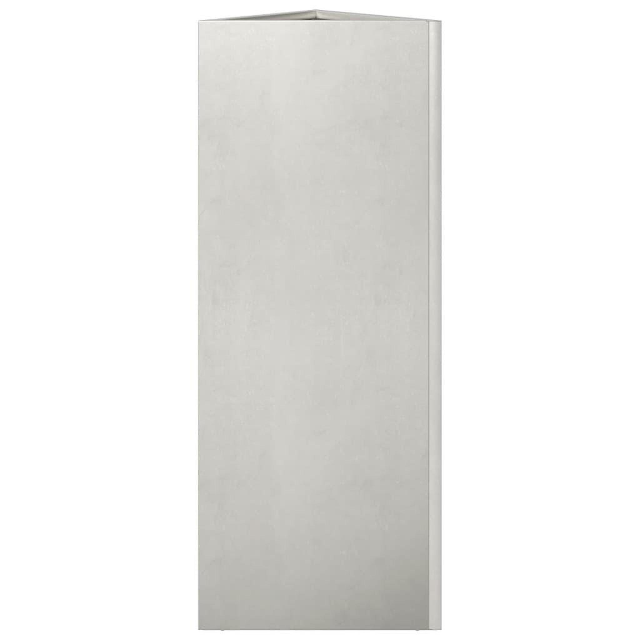 Voir la diapositive 5 : VIDAXL Jardiniere triangulaire 30x26x75 cm acier inoxydable