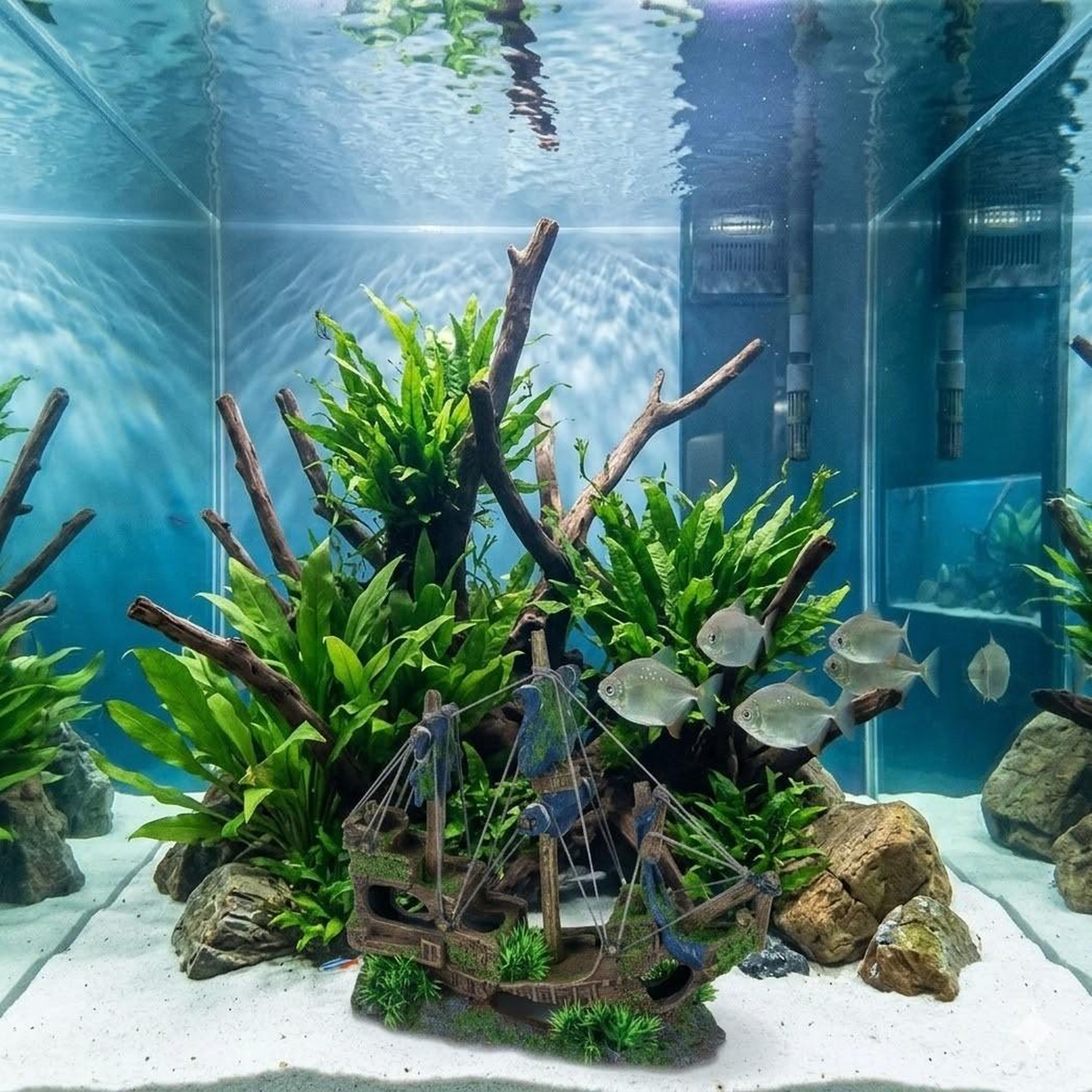 Voir la diapositive 3 : Eden Décoration aquarium grande épave de navire cachettes poissons