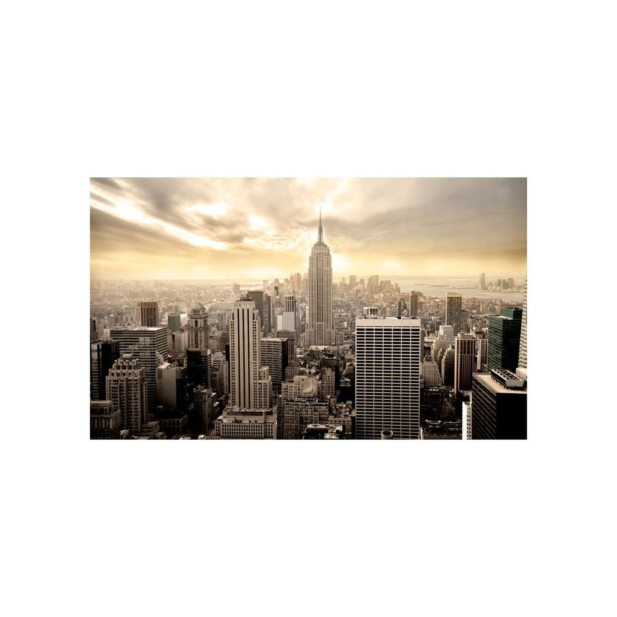 Voir la diapositive 2 : Paris Prix Papier peint  new york manhattan à l'aube ii  270x450cm