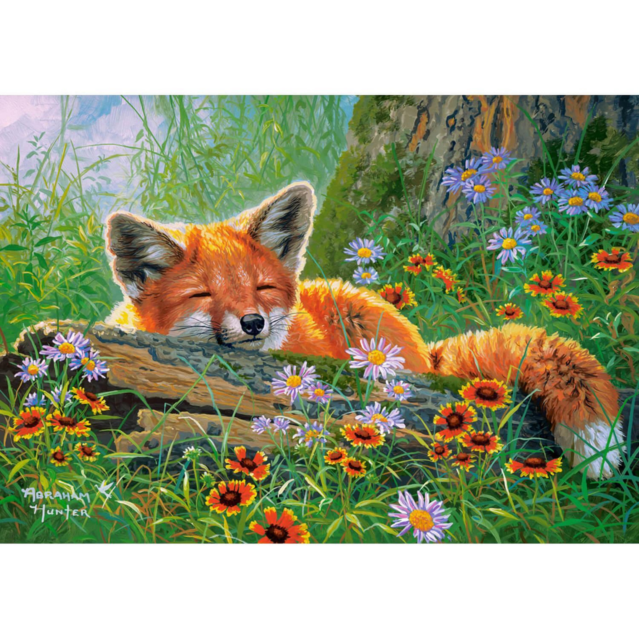 Castorland Puzzle 500 pièces : Rêves rusés