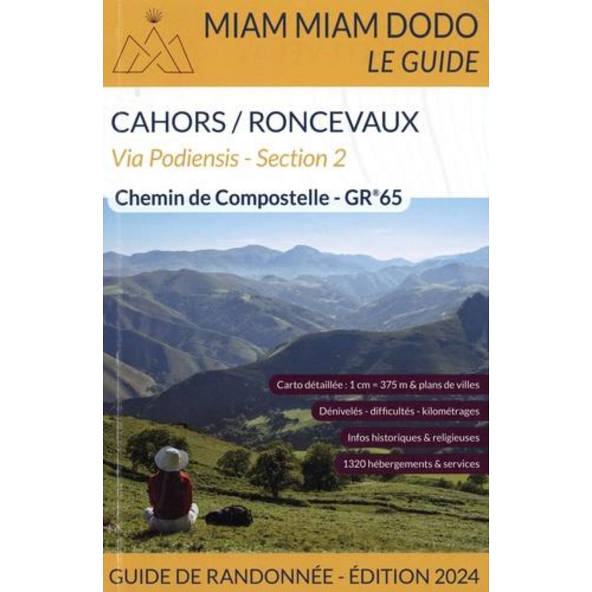 CHEMIN DE COMPOSTELLE DE CAHORS A SAINT-JEAN-PIED-DE-PORT + TRAVERSEE DES PYRENEES JUSQU'A RONCEVAUX. (GR 65) SECTION 2, EDITION 2024, Clouteau Lauriane