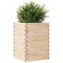 Voir la diapositive 4 : VIDAXL Jardiniere 50x50x68,5 cm bois de pin massif