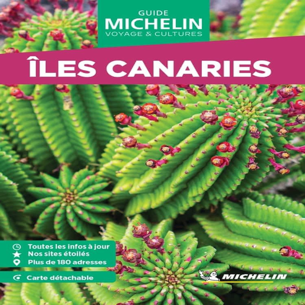 ILES CANARIES. EDITION 2024. AVEC 1 PLAN DETACHABLE, Michelin