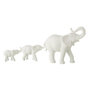 Voir la diapositive 1 : Paris Prix Statuette 3 Éléphants en Rang  Burl  38cm Blanc