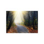 Voir la diapositive 2 : Paris Prix Papier Peint  Road Through the Forest