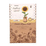 Voir la diapositive 2 : ROBOTIME Wooden Bloom Craft: Le tournesol