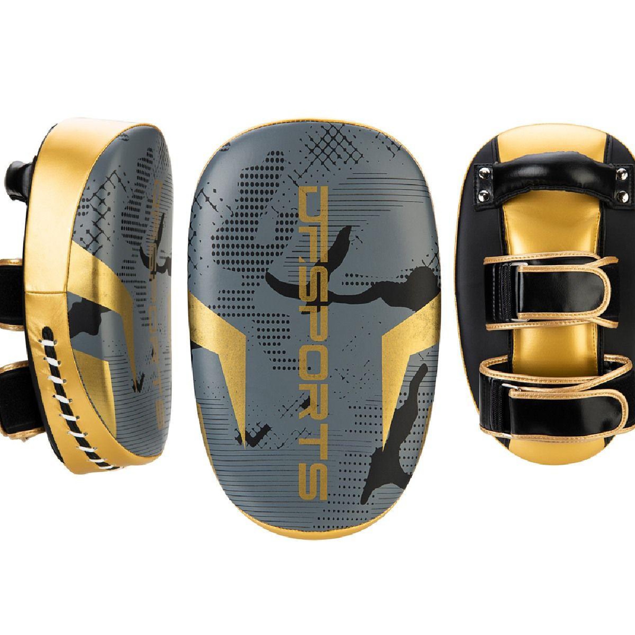 Voir la diapositive 2 : DE FAUGERES Set d'Entrainement Gants, Patte d'Ours & Pao  Boxe  10oz Gris & Or