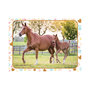 Voir la diapositive 2 : Nathan puzzle 60 p Maman et bebe cheval