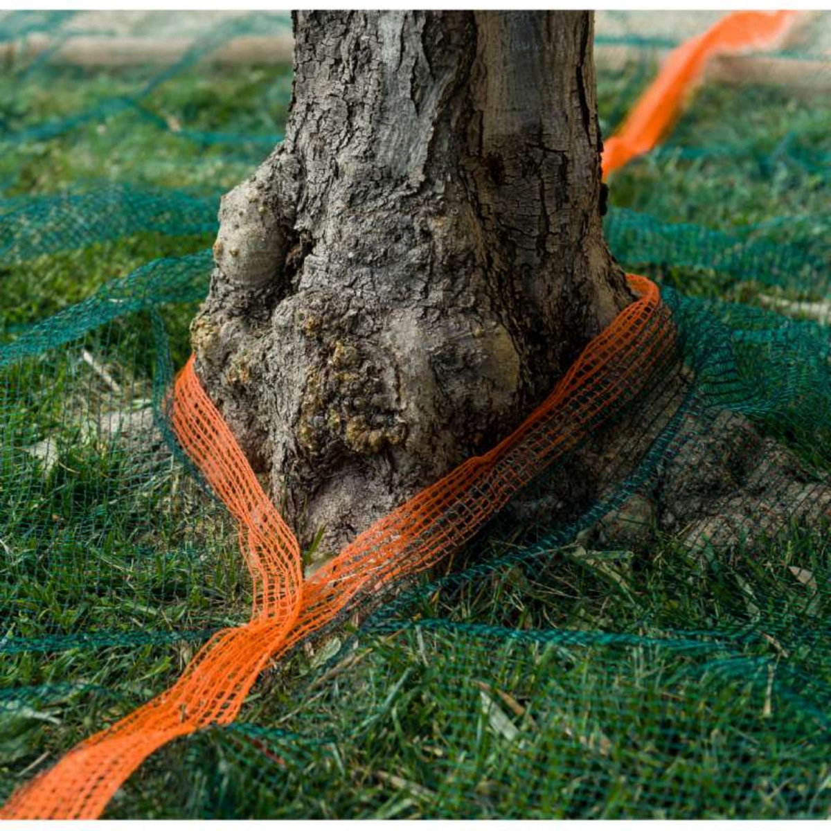  Filet à olives 50g/m2 Werkapro 4 x 4m - 16m2