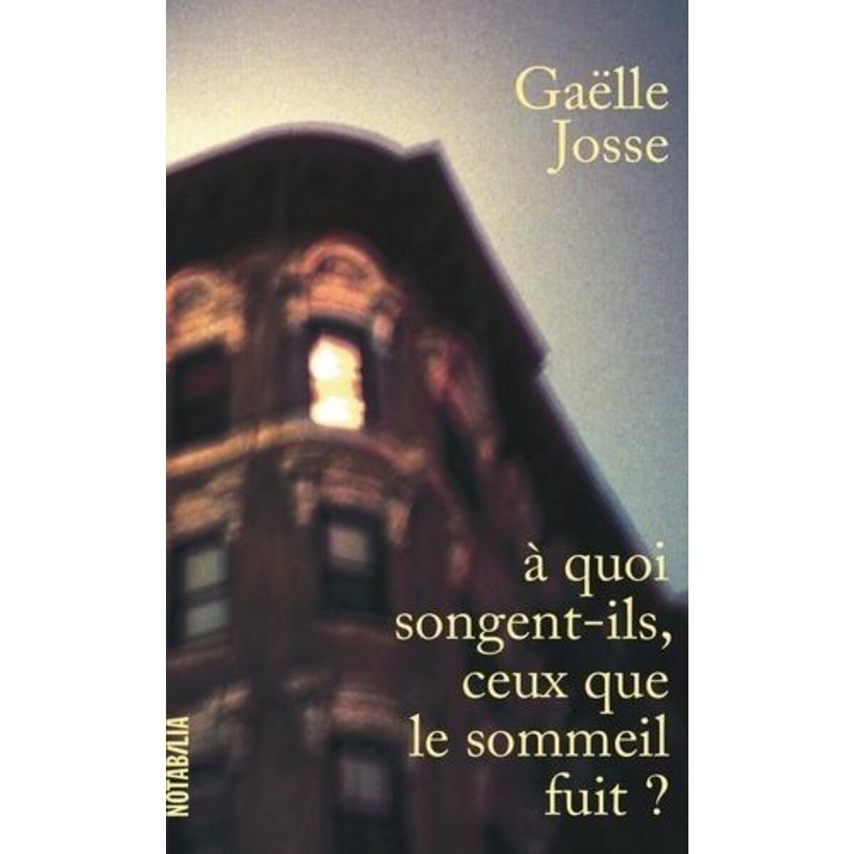 A QUOI SONGENT-ILS, CEUX QUE LE SOMMEIL FUIT ?, Josse Gaëlle