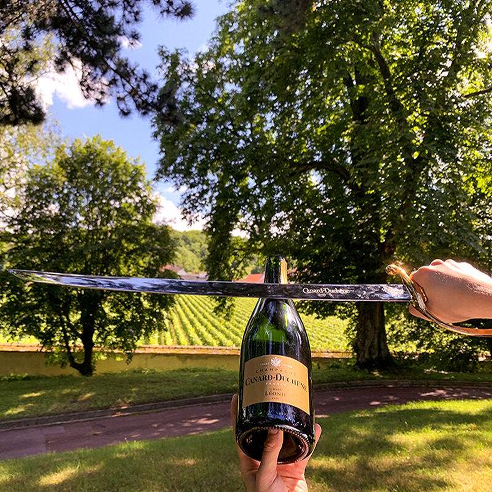 Voir la diapositive 3 : Smartbox Initiation au sabrage de champagne avec dégustation et visite de cave près de Reims - Coffret Cadeau Gastronomie