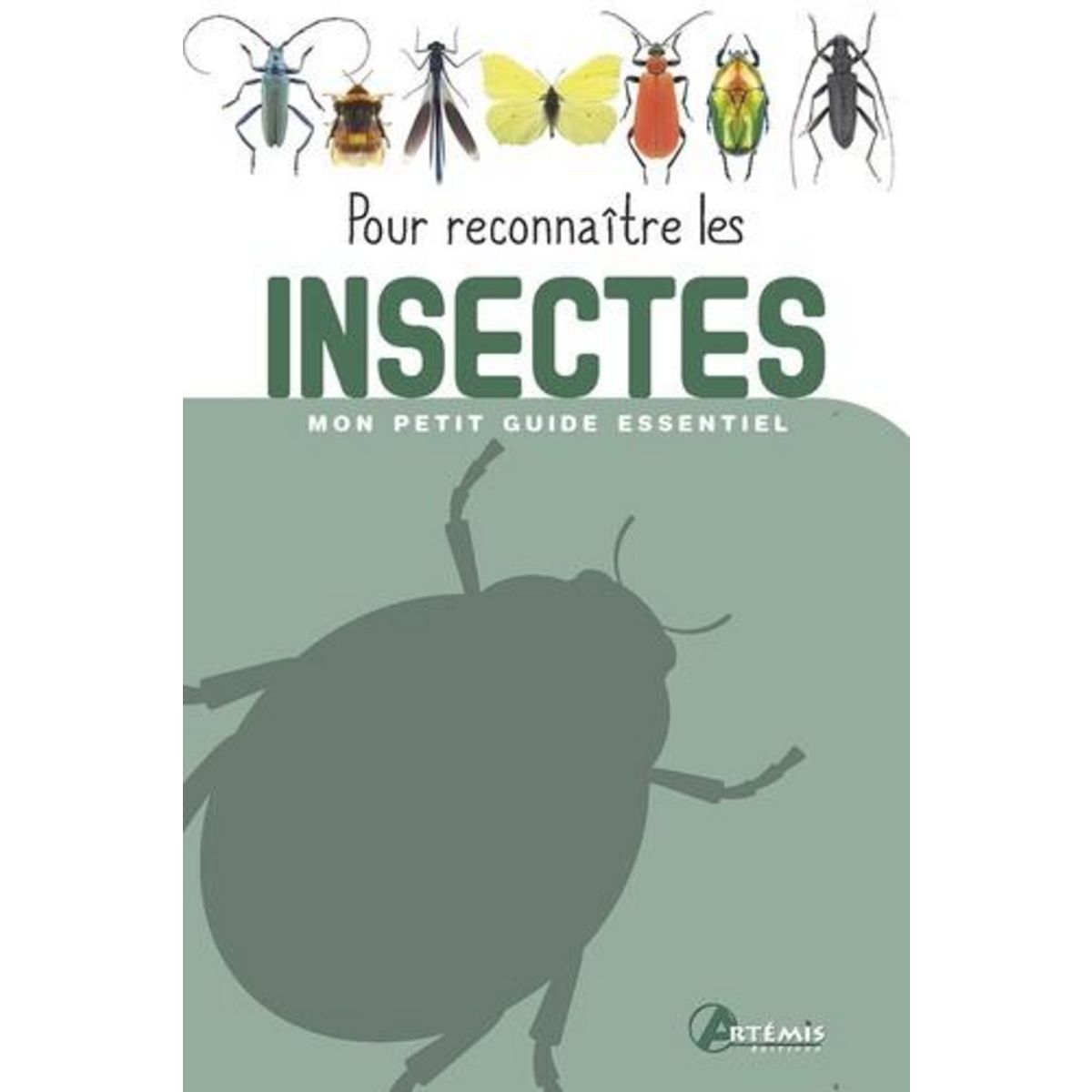 POUR RECONNAITRE LES INSECTES, Losange