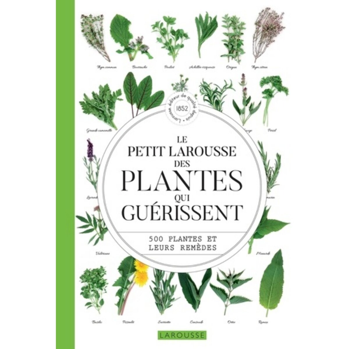  LE PETIT LAROUSSE DES PLANTES QUI GUERISSENT. 500 PLANTES ET LEURS REMEDES, Debuigne Gérard