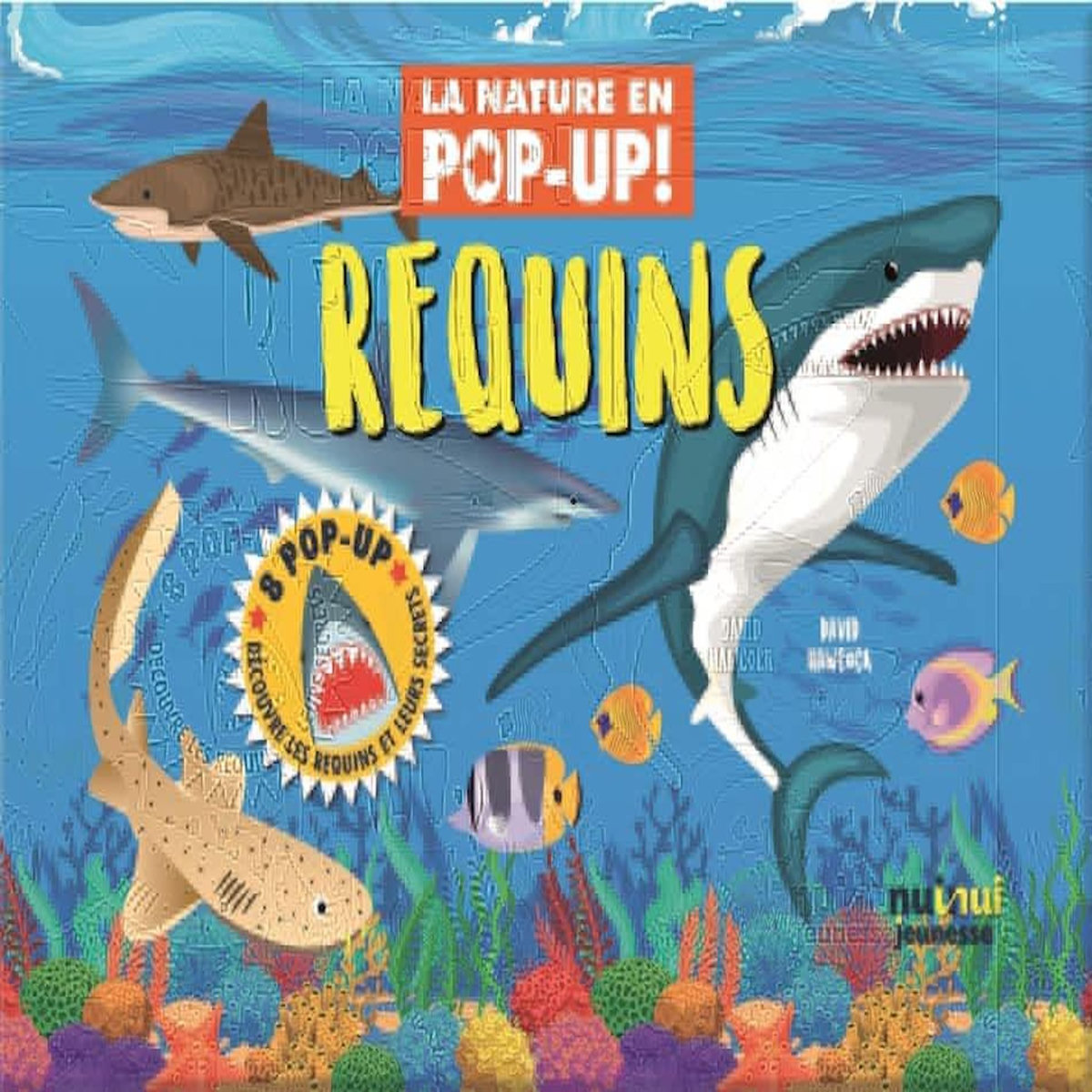 REQUINS, Hawcock David