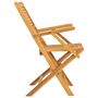 Voir la diapositive 5 : VIDAXL Chaises de jardin pliantes lot de 2 55x62x90cm bois massif teck