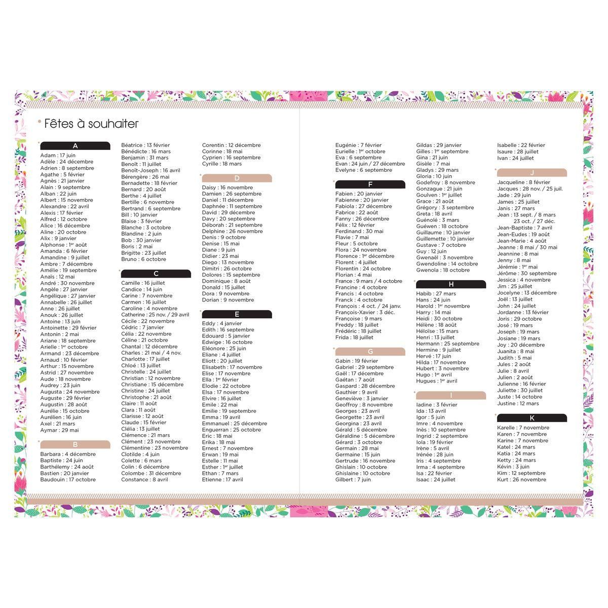 OXFORD Agenda scolaire journalier 12x18cm Flowers fleurs rose élastique rose 2023-2024