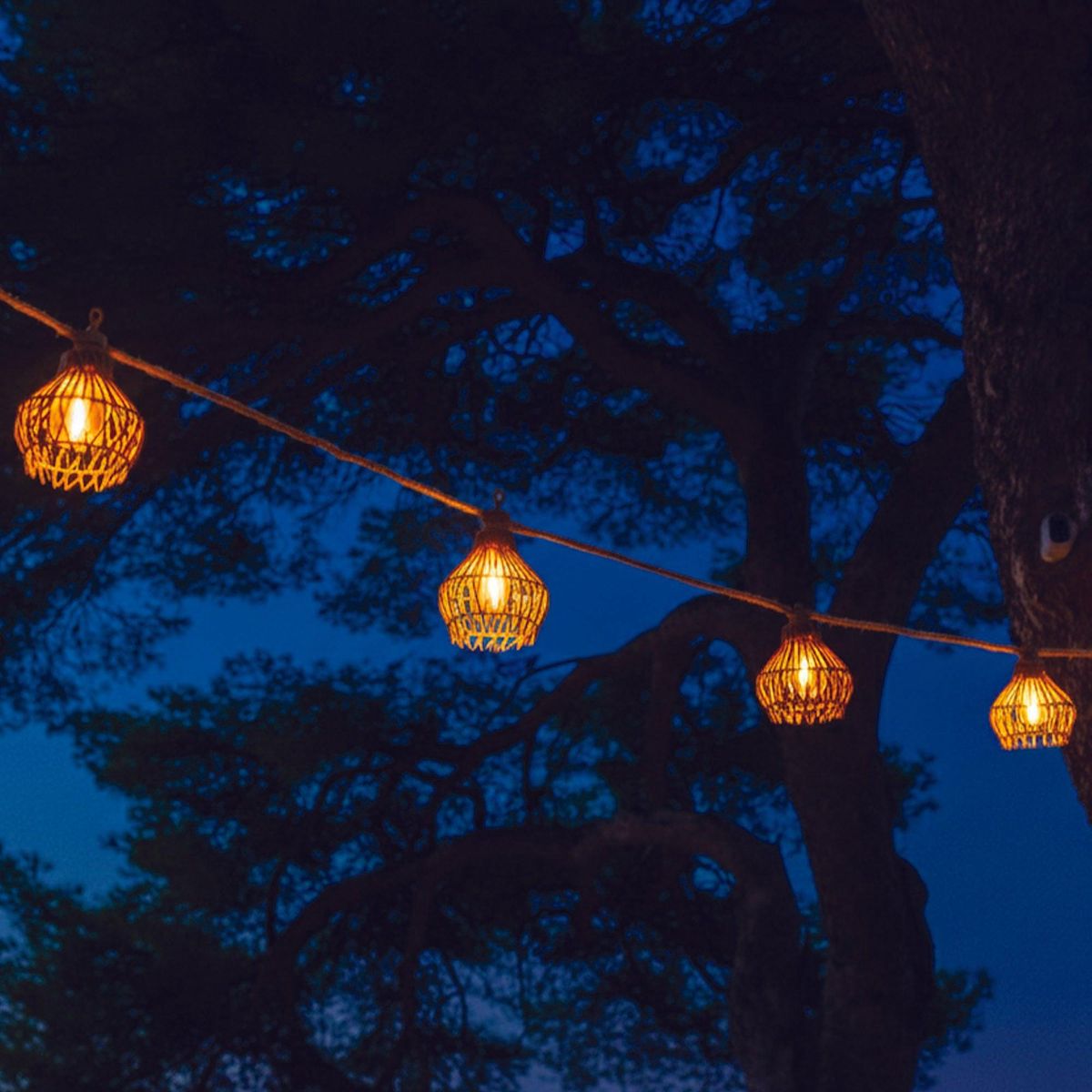 Lumisky Guirlande d'extérieur ROTILIA Beige Polyrotin 8M