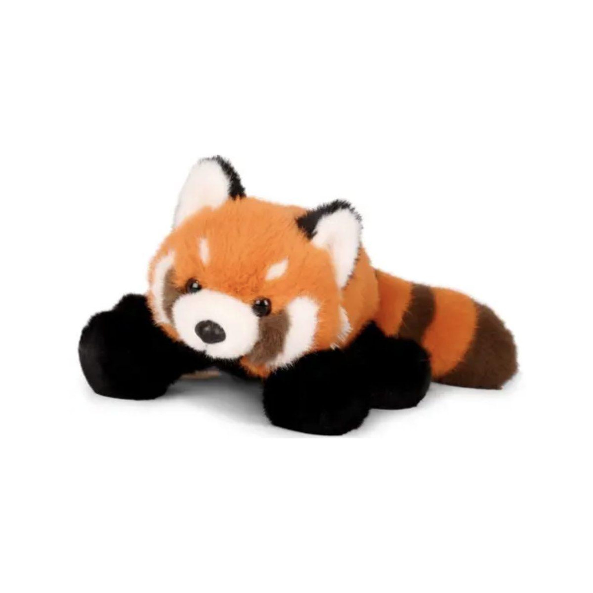 Histoire D'Ours Sierra - le panda roux allongé