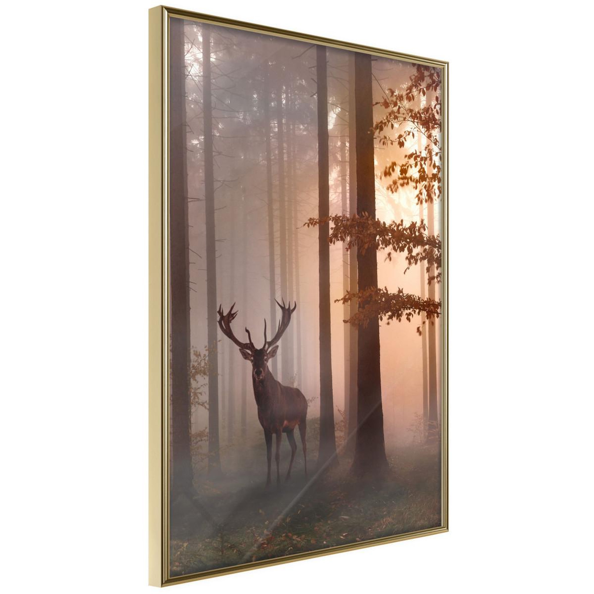 Paris Prix Affiche murale encadrée  forest seclusion