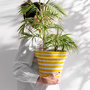 Voir la diapositive 4 : Paris Prix Pot Avec Soucoupe en Céramique  Granada Rayure  27cm Jaune