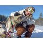 Voir la diapositive 6 : Smartbox 3 jours en Suède avec balade en chiens de traîneau et observation des aurores boréales - Coffret Cadeau Séjour