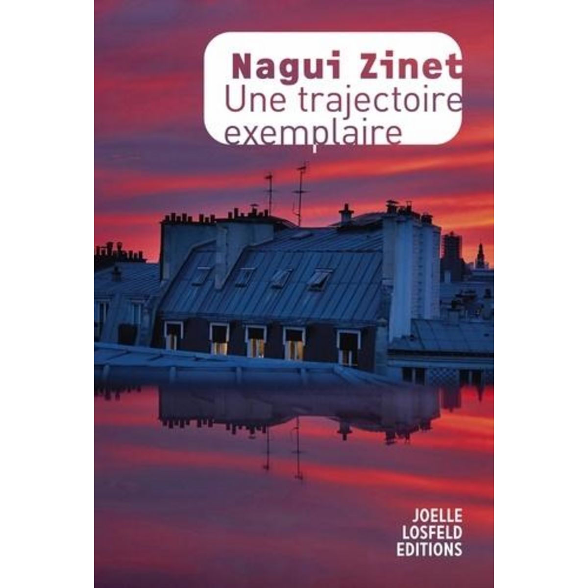UNE TRAJECTOIRE EXEMPLAIRE, Zinet Nagui