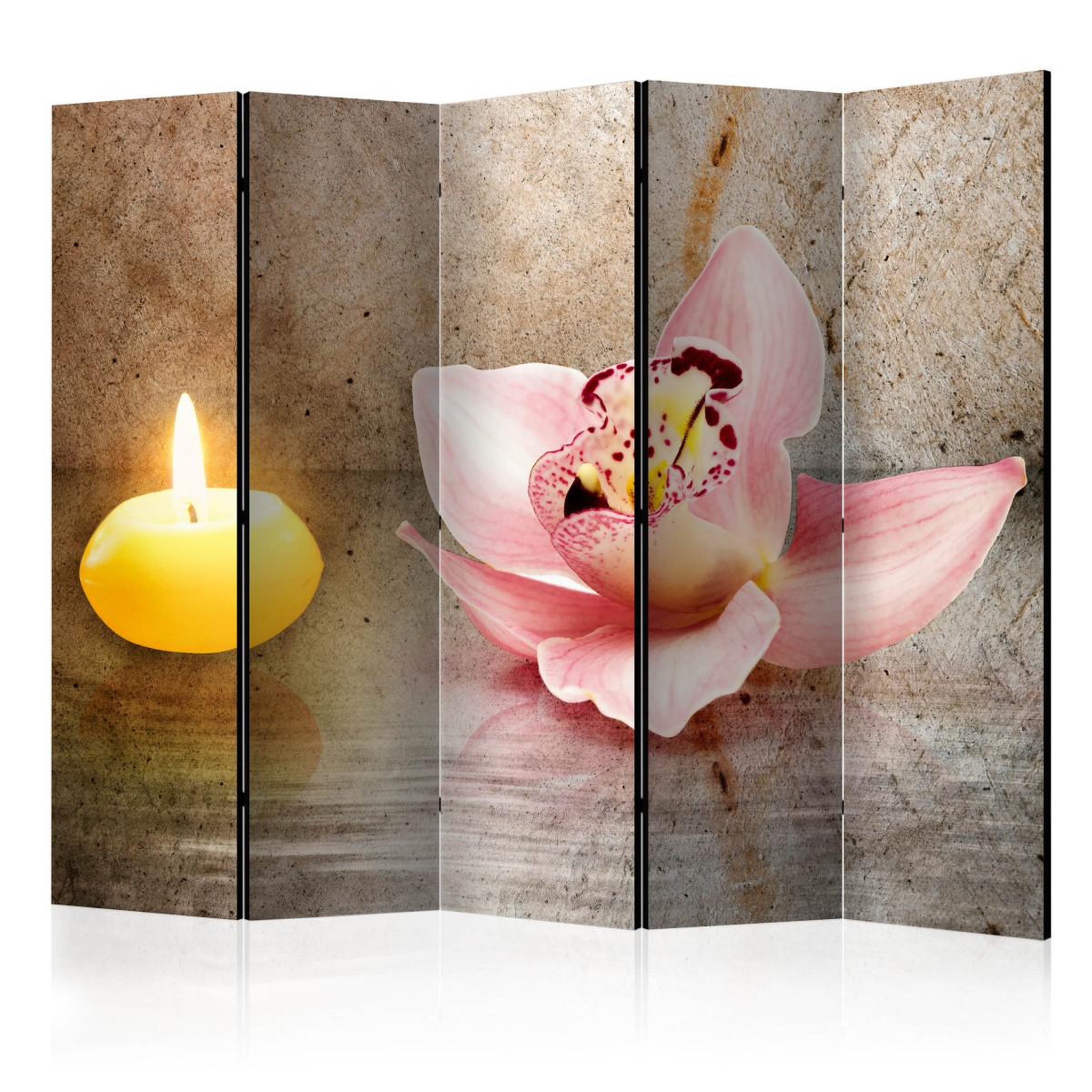 Paris Prix Paravent 5 volets  romantic evening  172x225cm