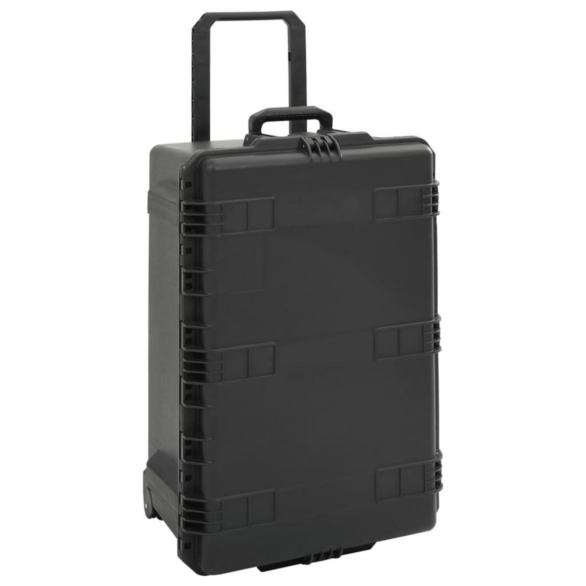 VIDAXL Valise de vol portable Noir 79,5x52x39 cm PP