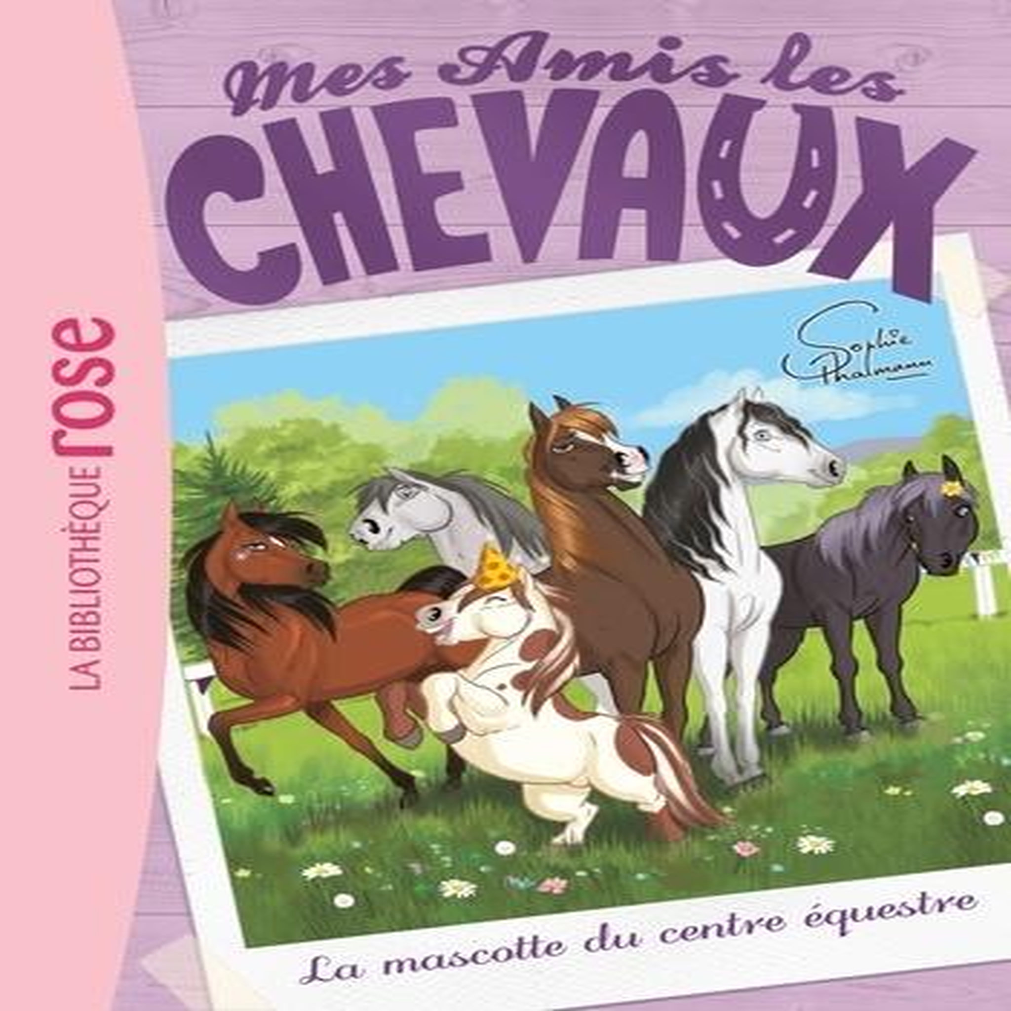 MES AMIS LES CHEVAUX TOME 18 : LA MASCOTTE DU CENTRE EQUESTRE, Thalmann Sophie
