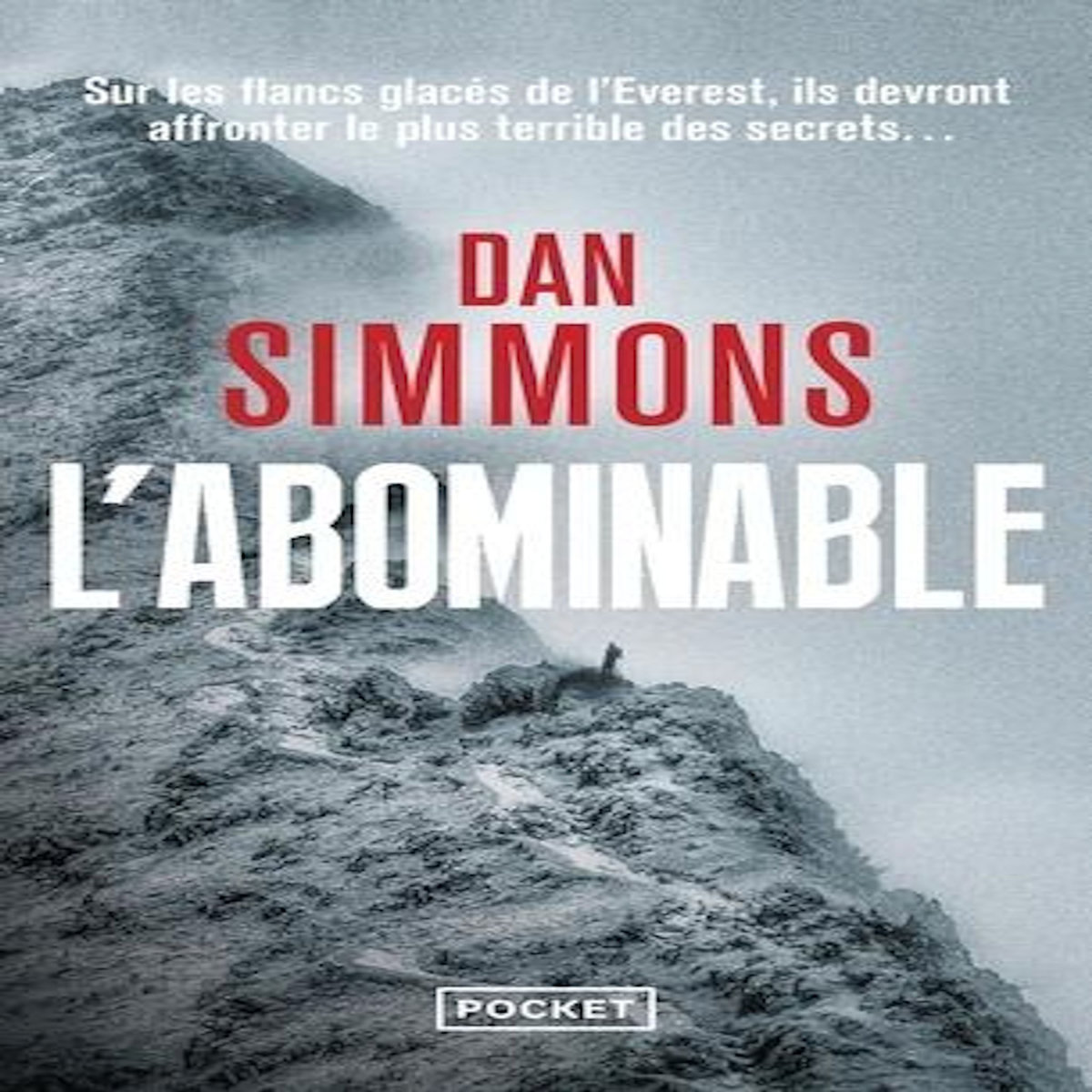 L'ABOMINABLE, Simmons Dan