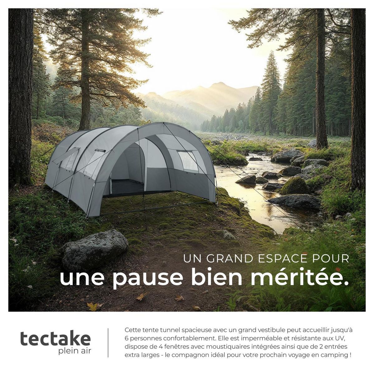tectake Tente de camping familiale spacieuse pour jusqu'à 6 personnes gris clair/gris foncé