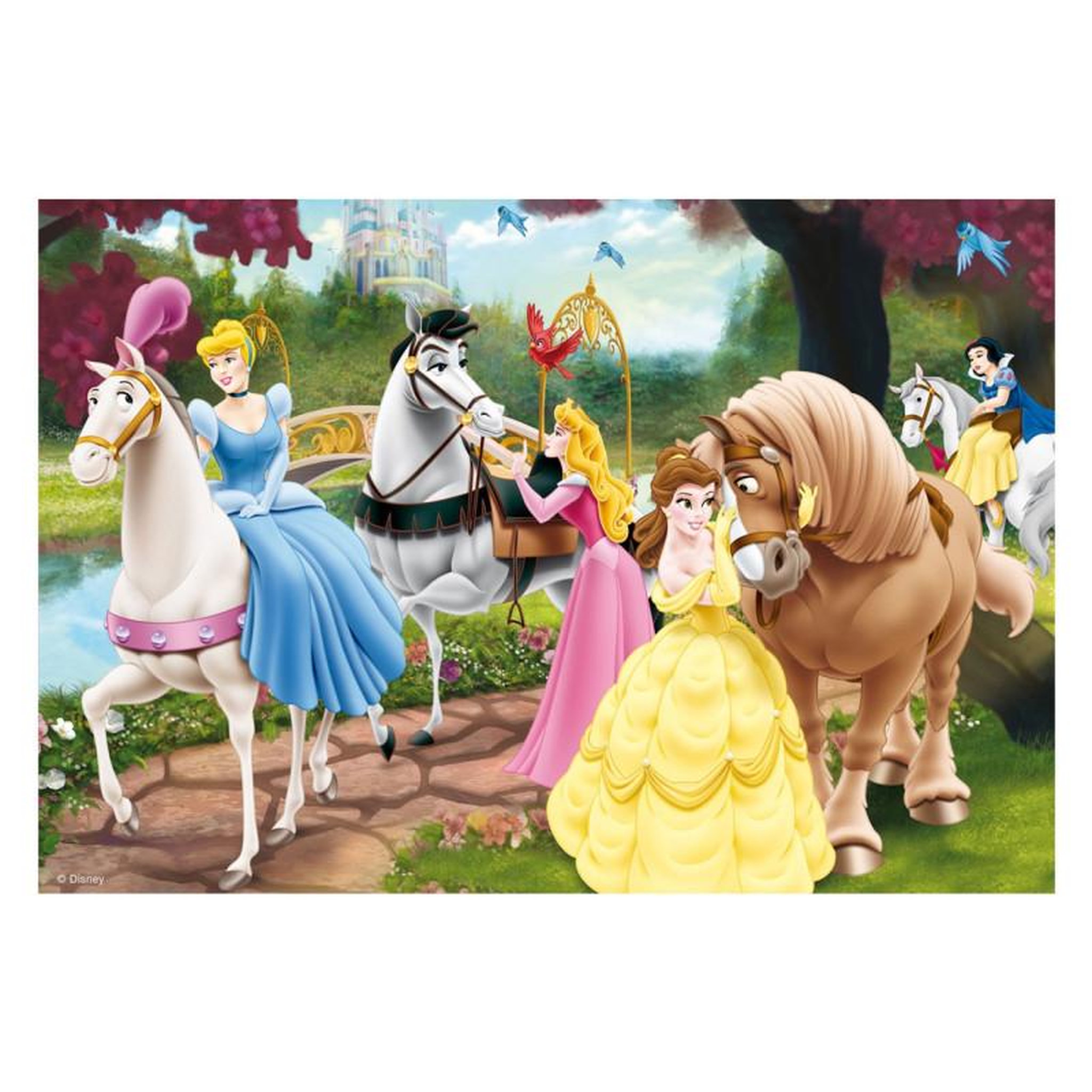 Voir la diapositive 3 : RAVENSBURGER RAVENSBURGER Disney Princesses, 2x24st.
