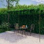 Voir la diapositive 1 : VIDAXL Pergola de jardin Marron antique 6x3x2,5 m Fer