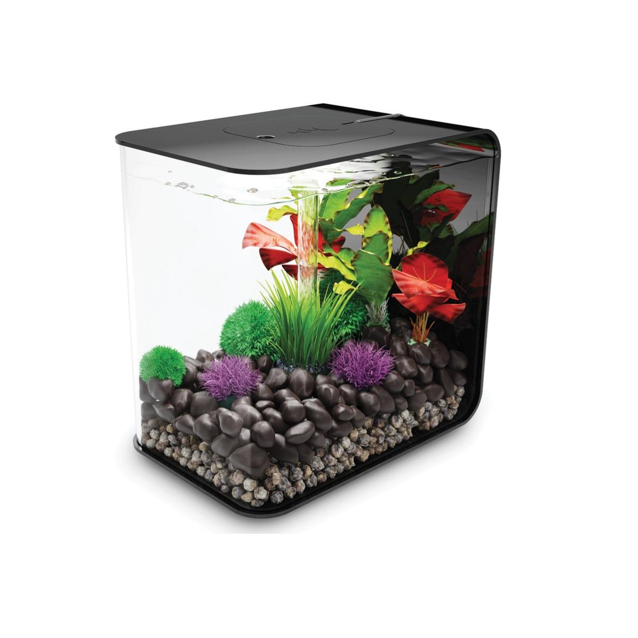Voir la diapositive 4 : Oase Aquarium décoratif 30l led avec cadre noir - flow 30 led black