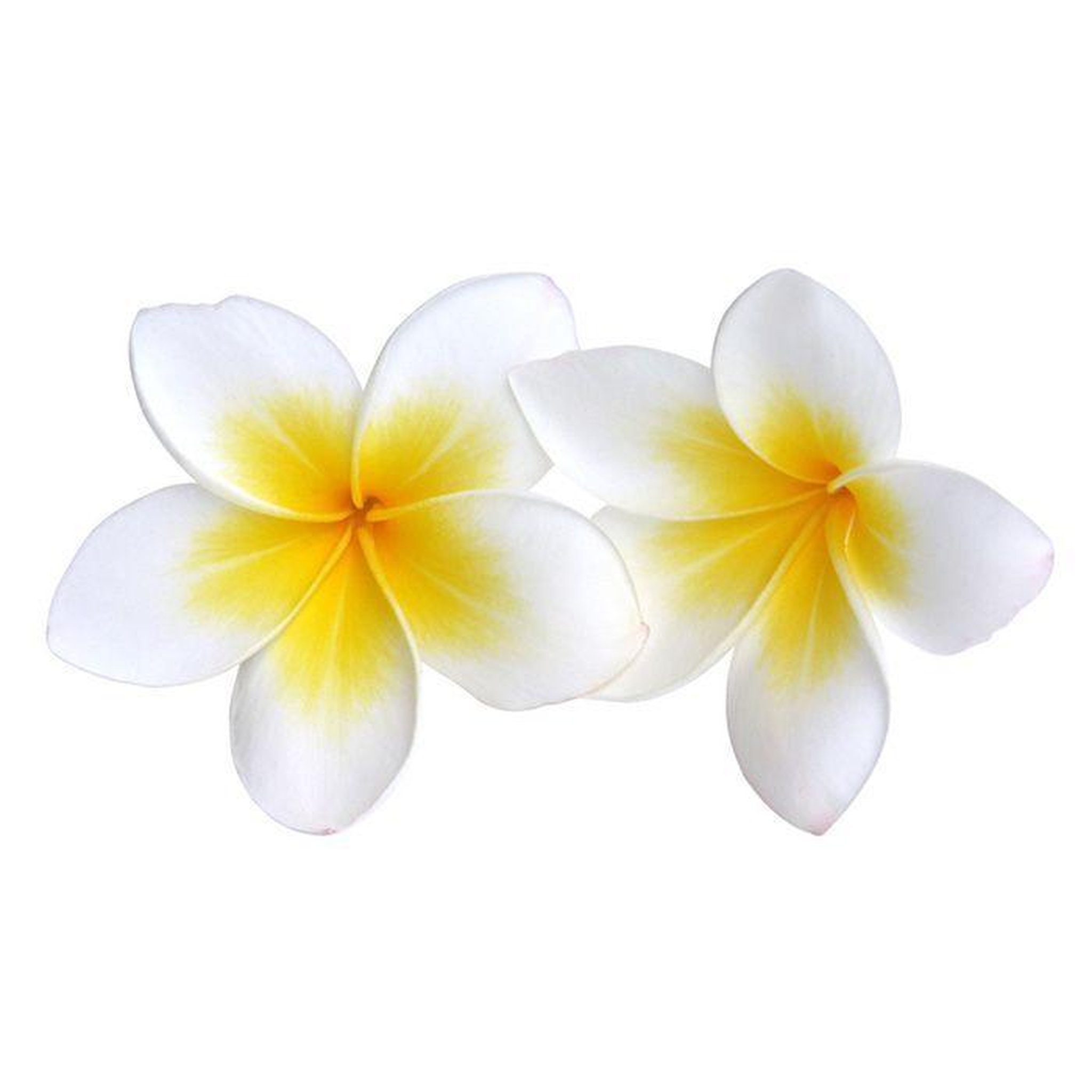 Voir la diapositive 2 : Graine créative Parfum pour savon 27 ml - Monoï