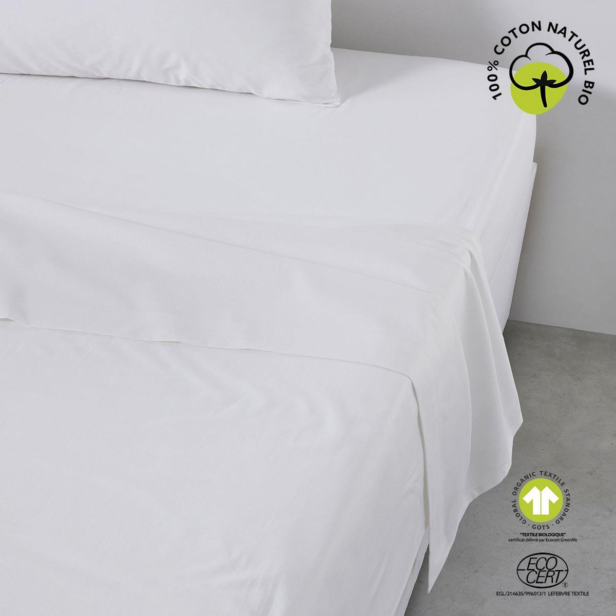 Today Drap plat - 100% coton BIO