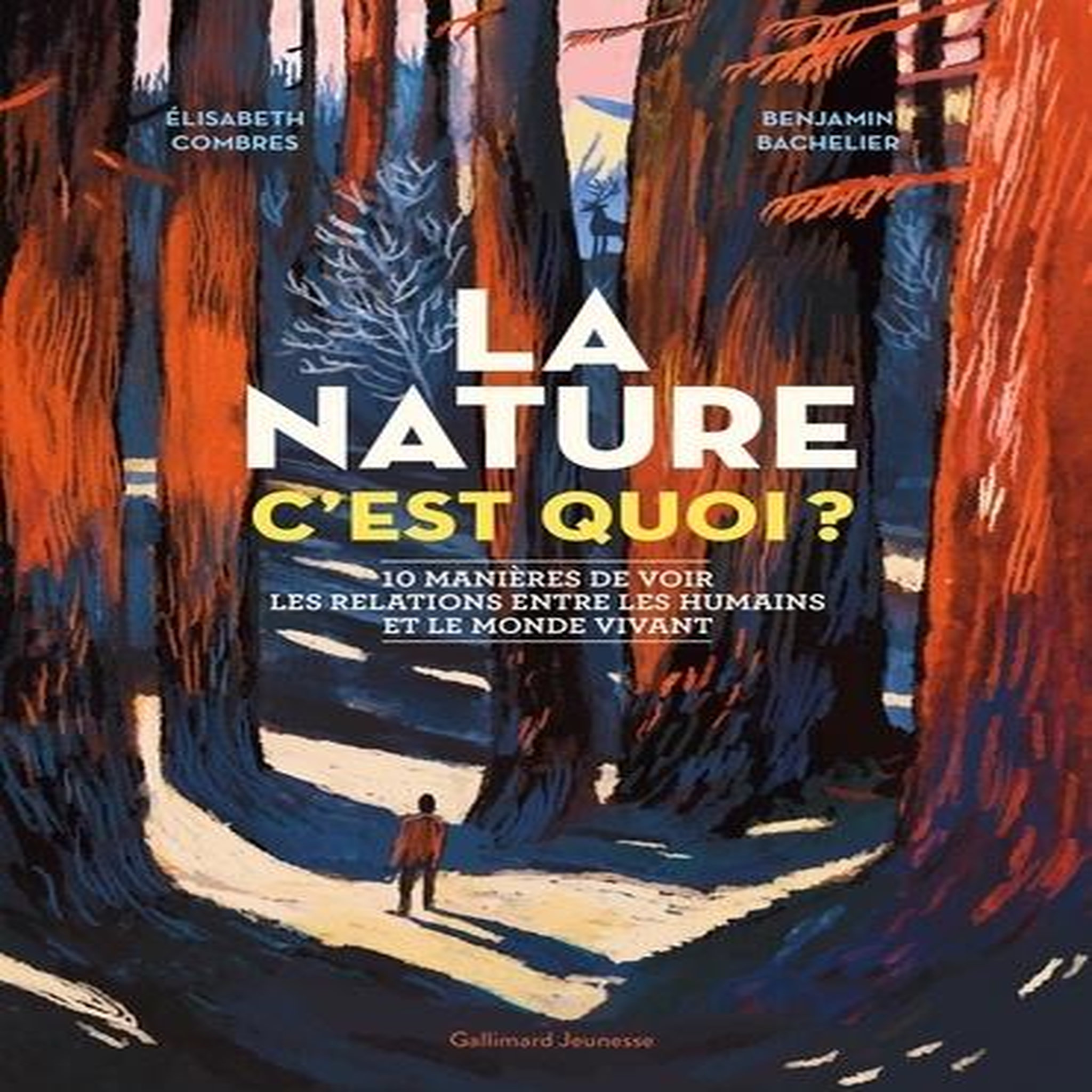 LA NATURE C'EST QUOI ? 10 MANIERES DE VOIR LES RELATIONS ENTRE LES HUMAINS ET LE MONDE VIVANT, Combres Elisabeth