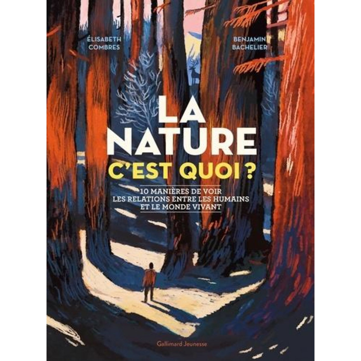 LA NATURE C'EST QUOI ? 10 MANIERES DE VOIR LES RELATIONS ENTRE LES HUMAINS ET LE MONDE VIVANT, Combres Elisabeth