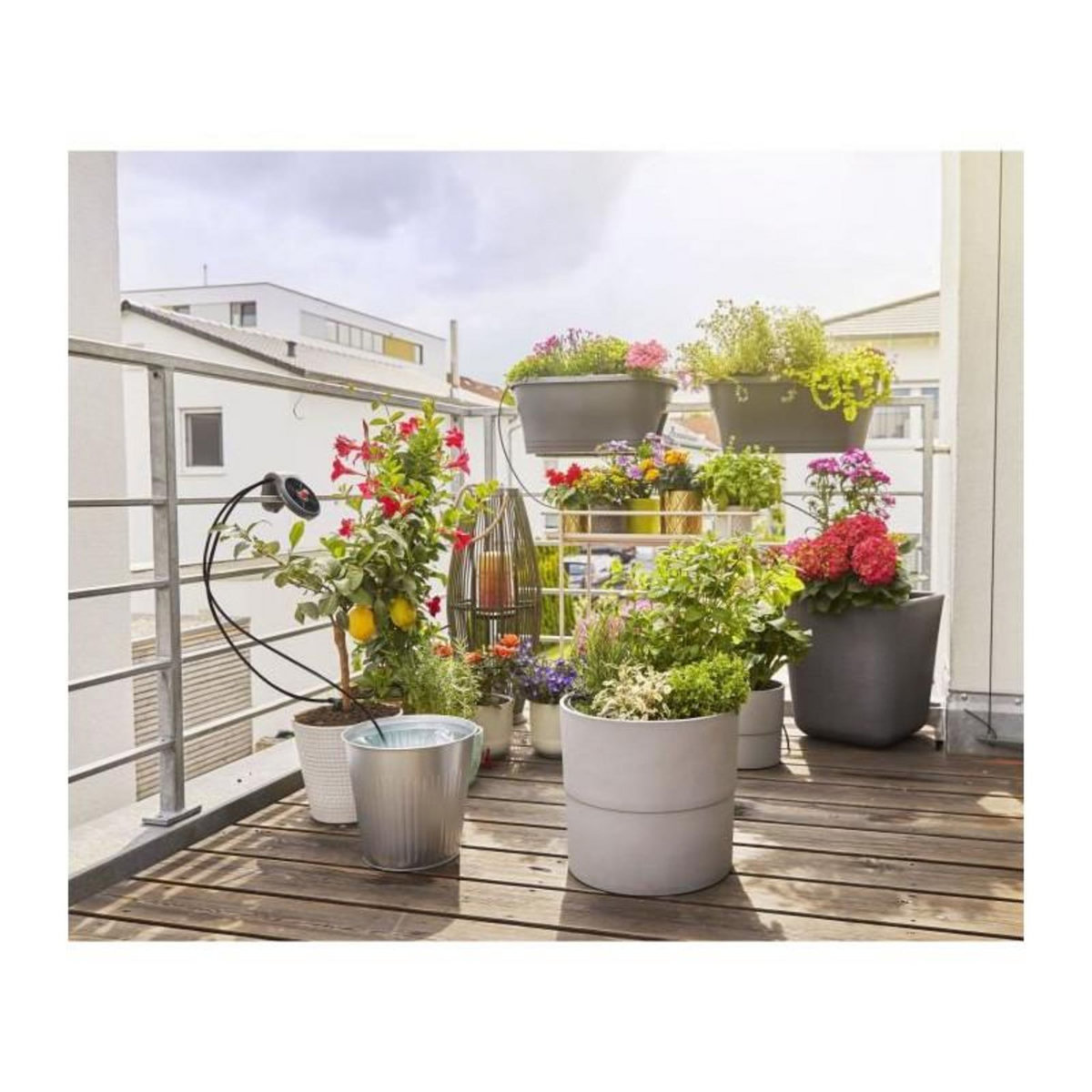 Gardena Solution d'arrosage automatique solaire aquaBloom