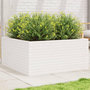 Voir la diapositive 1 : VIDAXL Jardiniere blanc 100x100x46 cm bois de pin massif